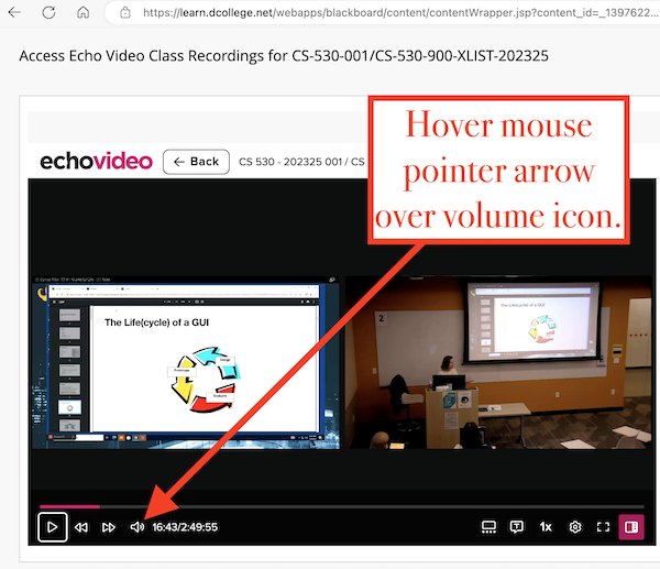 1 Echo Video Volume Issue HELP copy