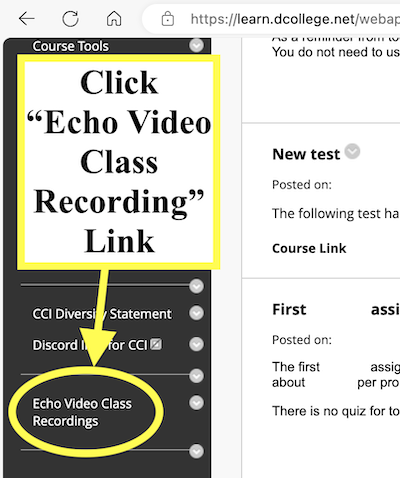 2 Echo Video Access copy