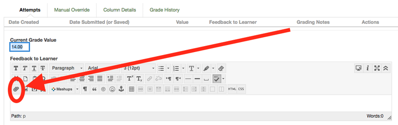 Paperclip icon in Feedback to Learner in View Grade Details in Full Grade Center.png