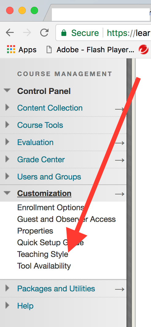 Teaching Style link under Customization link in left nav panel.png