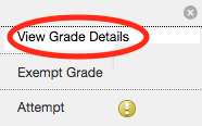 View Grade Details option in Full Grade Center.png