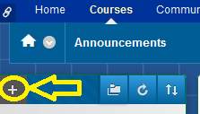 arrow_pointing_at_plus_sign_at_lefthand_course_menu.PNG