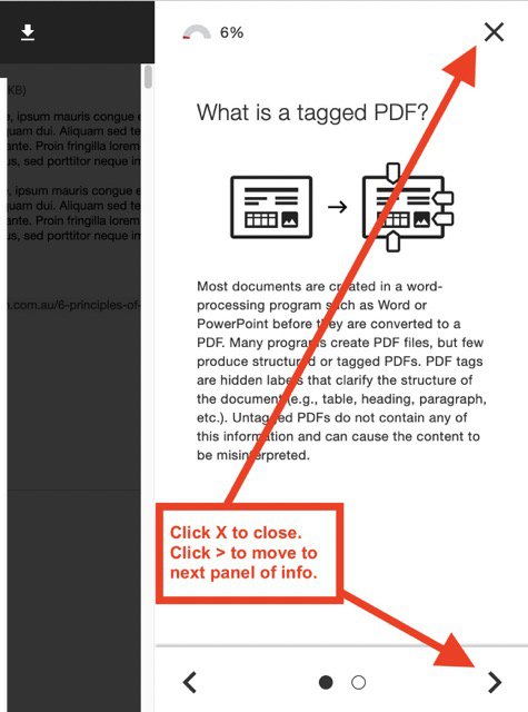 Bb Learn Ally 3c - help panel on what untagged PDF means Medium