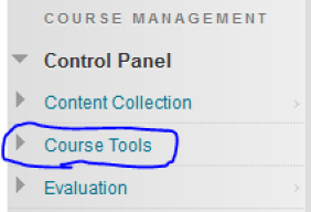 Circled Course Tools link under Control Panel.png