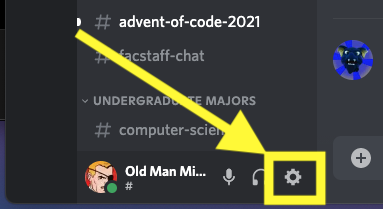 Discord settings gear -bottom left next to your photo.png