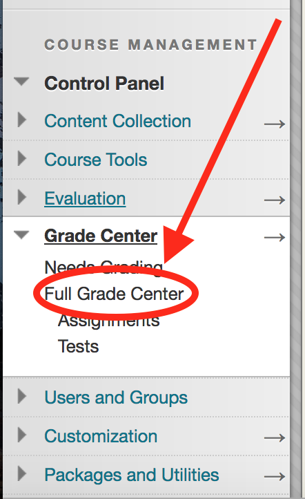 Full Grade Center link under Grade Center in left-hand navigation panel in Bb Learn coures shell.png