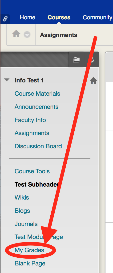 My Grades link in Bb Learn course shell.png