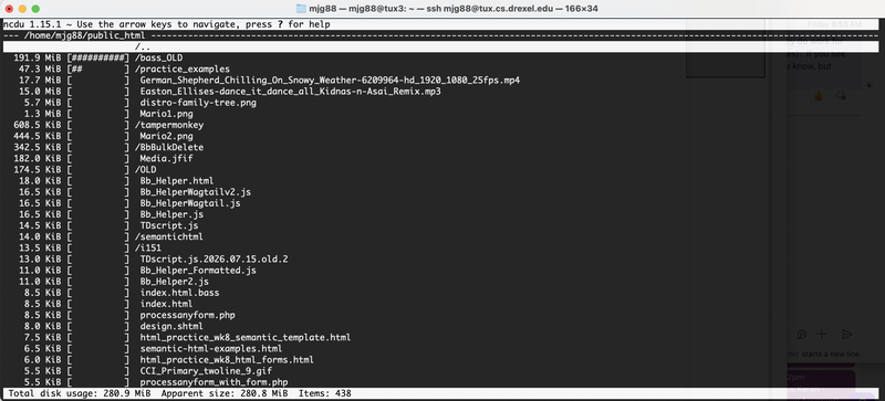 Drilling down into public_html to locate specific large media or backup files.