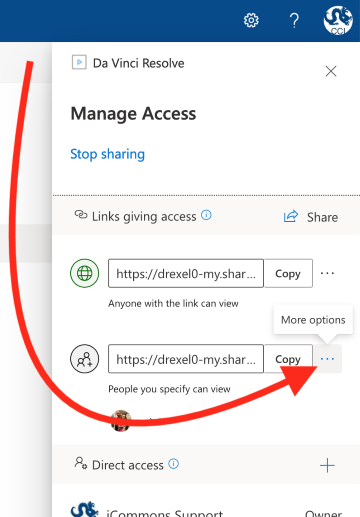 OneDrive Sharing - Manage Access - More options (Custom).png