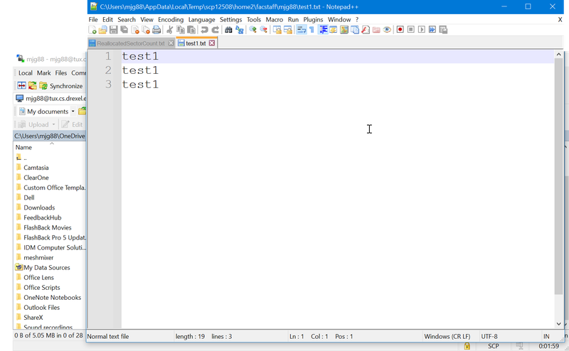 WinSCP use after text editor set-up 2