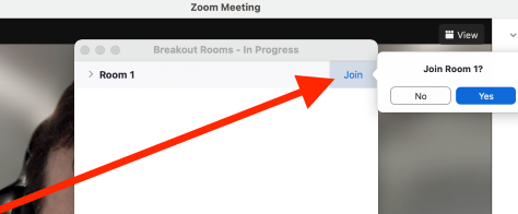 Zoom Meeting Join Breakout Room.png