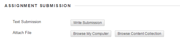 assignment submission buttons.PNG