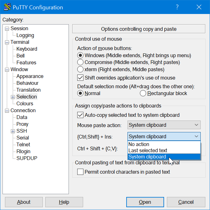 putty config 6 - allow ctrl shift c and v to copy paste
